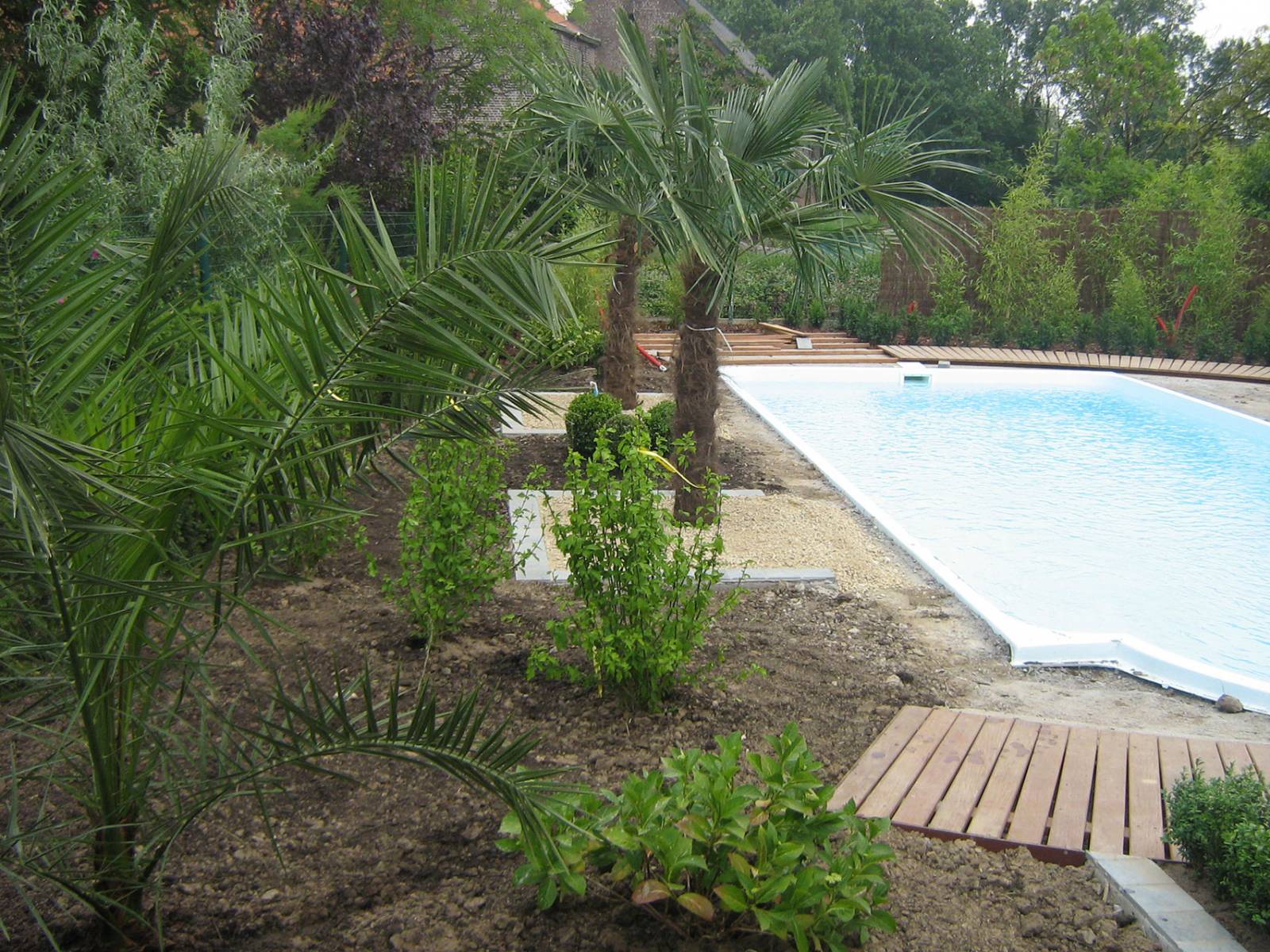 Aanleg zwembad, tuin en terras te Moeskroen